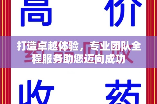 淄博打造卓越体验，专业团队全程服务助您迈向成功