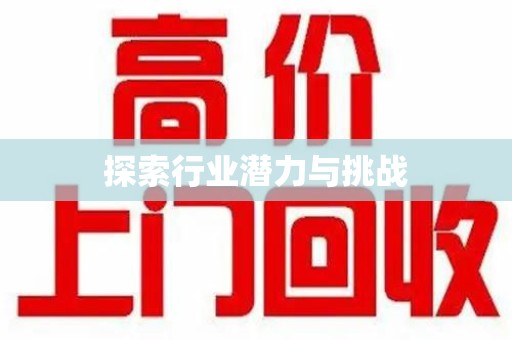 淄博探索行业潜力与挑战