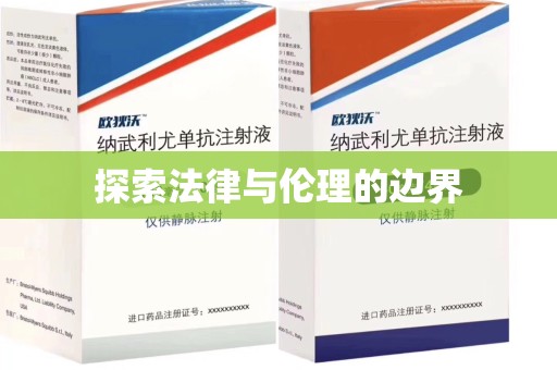 淄博探索法律与伦理的边界