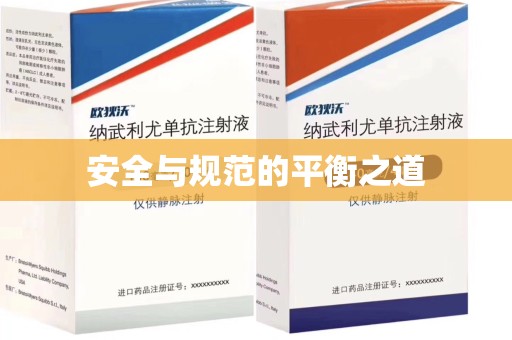 淄博安全与规范的平衡之道