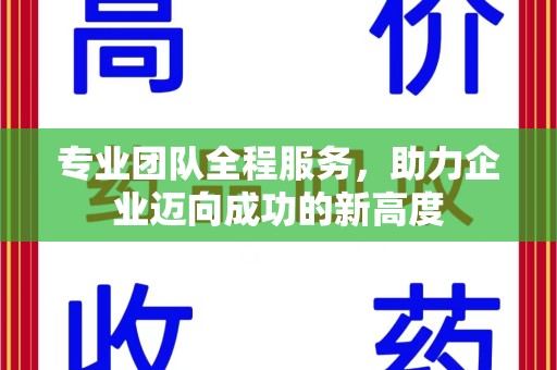 淄博专业团队全程服务，助力企业迈向成功的新高度