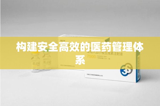 淄博构建安全高效的医药管理体系